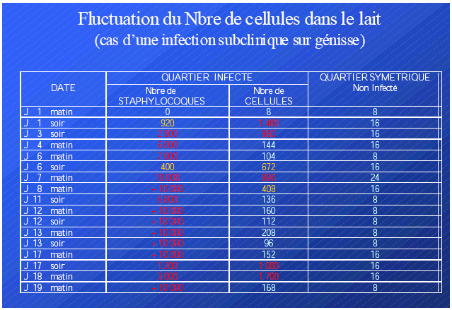 Interprétation des comptages leucocytaires | FIDOCL Conseil Elevage