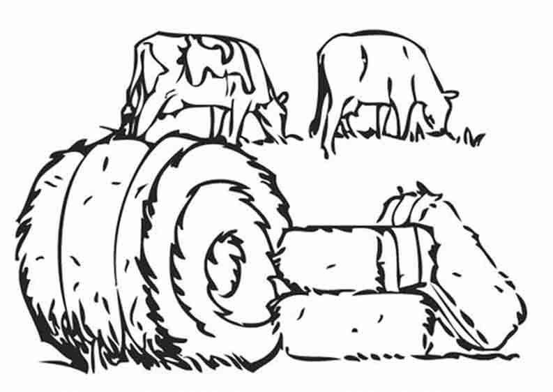 Botte De Paille Dessin / Illustrations, cliparts, dessins animés et