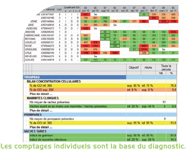 Gestion des cellules | FIDOCL Conseil Elevage